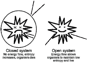 Vergleich von offenem und geschlossenen System